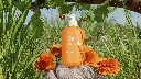 Calendula - Meadow Scene - Pomp (Near Final).webp
